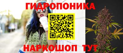 мдпв Ливны