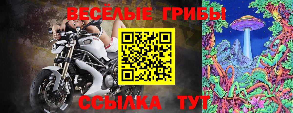 Галлюциногенные грибы MAGIC MUSHROOMS Старая Купавна