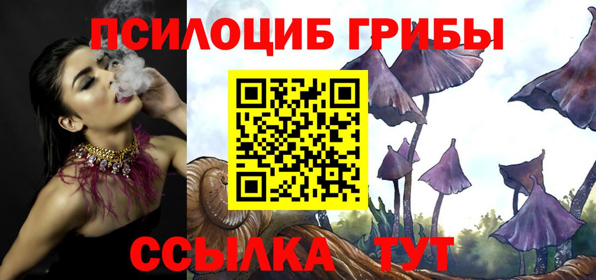 цена   Вход с VPN  Старая Купавна  Галлюциногенные грибы прущие грибы  Галлюциногенные грибы Psilocybine cubensis 